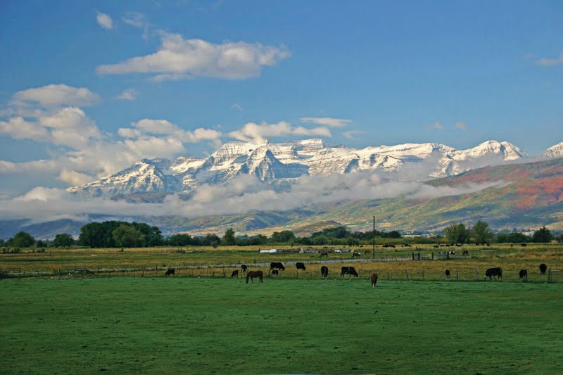 Heber City/ Daniels