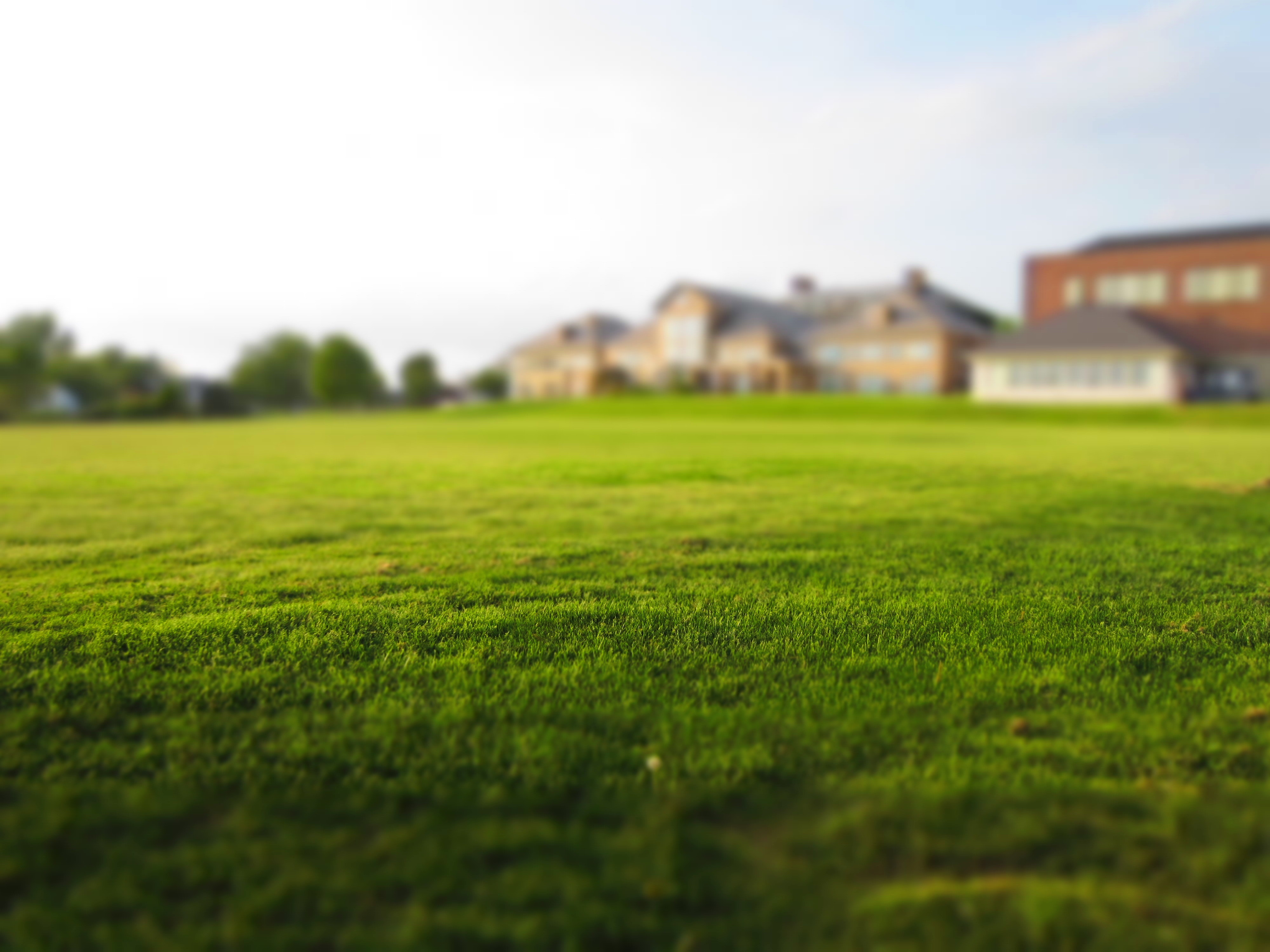 Your Spring Landscaping Plan: 5 Essential Projects Anyone Can Tackle
