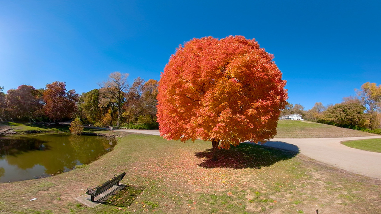 Where to Find Fall Colors in KC