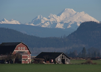 Skagit County's Hub