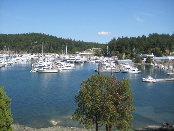 Ideas and Concepts for Buying Real Estate in San Juan Island, Washington