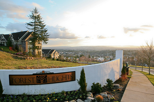 Forest Heights