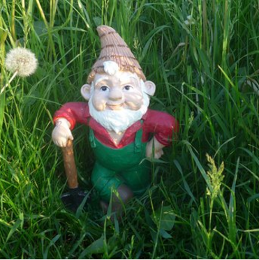 8 Ways New Homeowners Accidentally Trash Their Yards