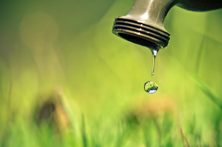 5 PRACTICAL WATER CONSERVATION TIPS TO KEEP YOUR GARDEN LEAN & GREEN