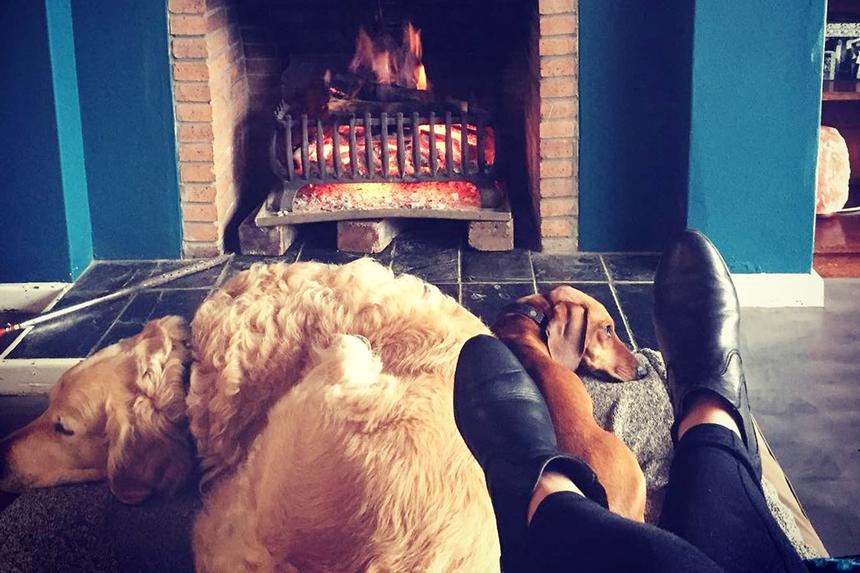 5 Tasks Every Homeowner Should Do in November
