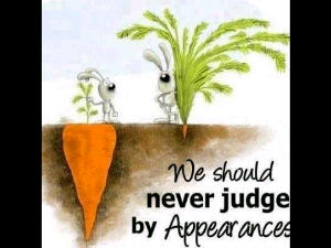 Never Judge a Book by Its Cover