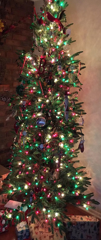 Real tree or fake? Which is better for the world?