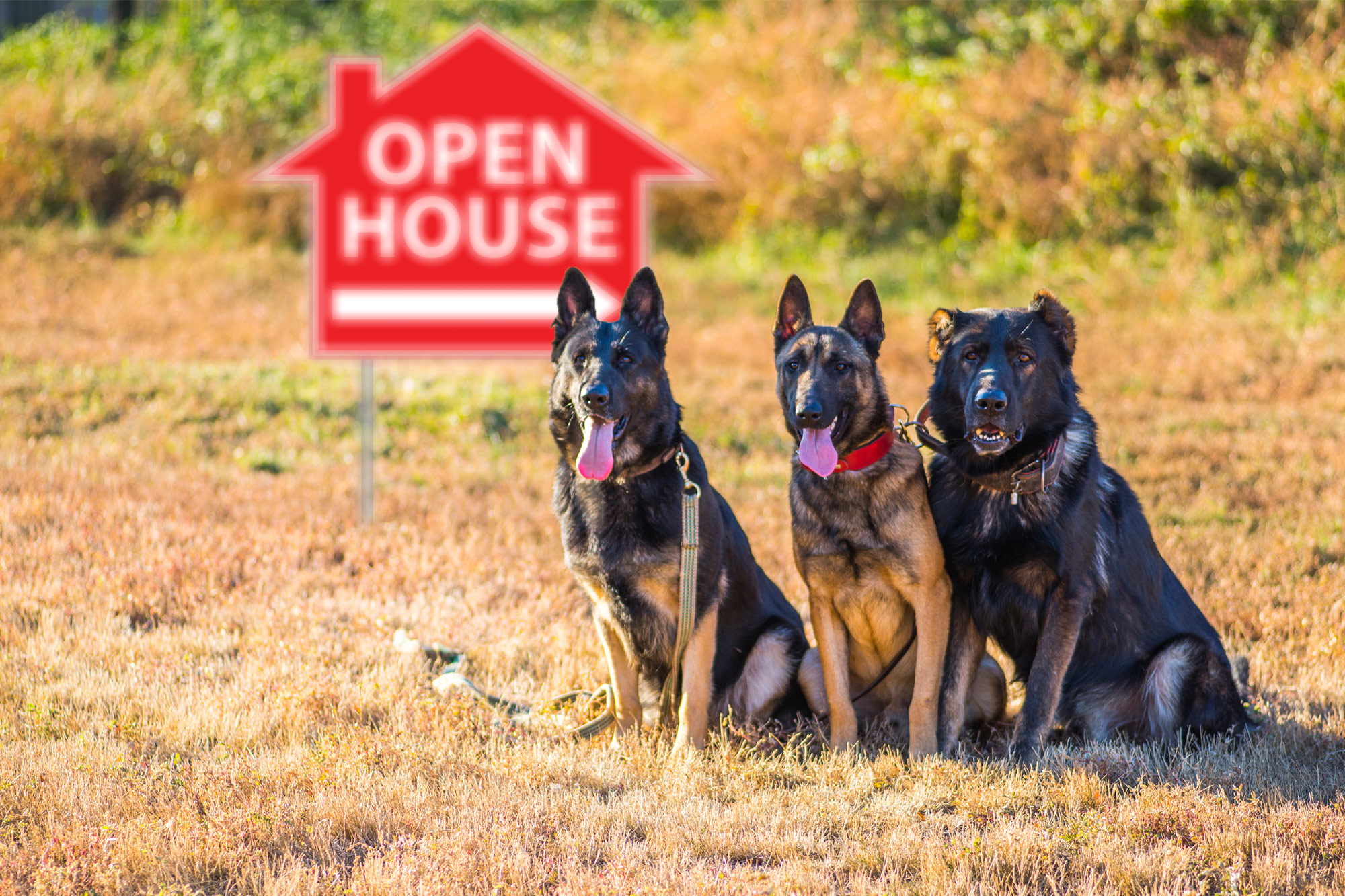 5 Deadly Mistakes Sellers Make That Prevent them From Selling