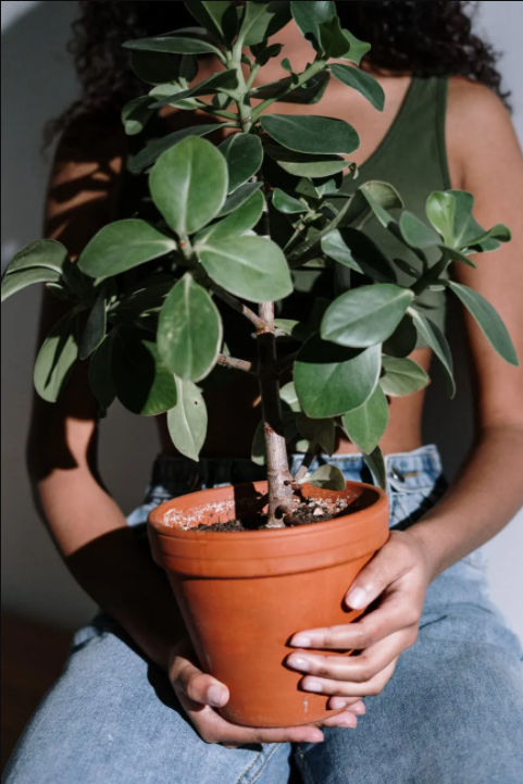 AFFORDABLE DECORATIVE ITEMS TO BUY BEFORE YOU SELL