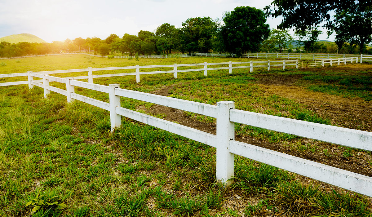 About | Lucas, Texas