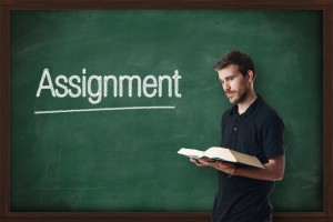 Everything about assignment- questions and answers