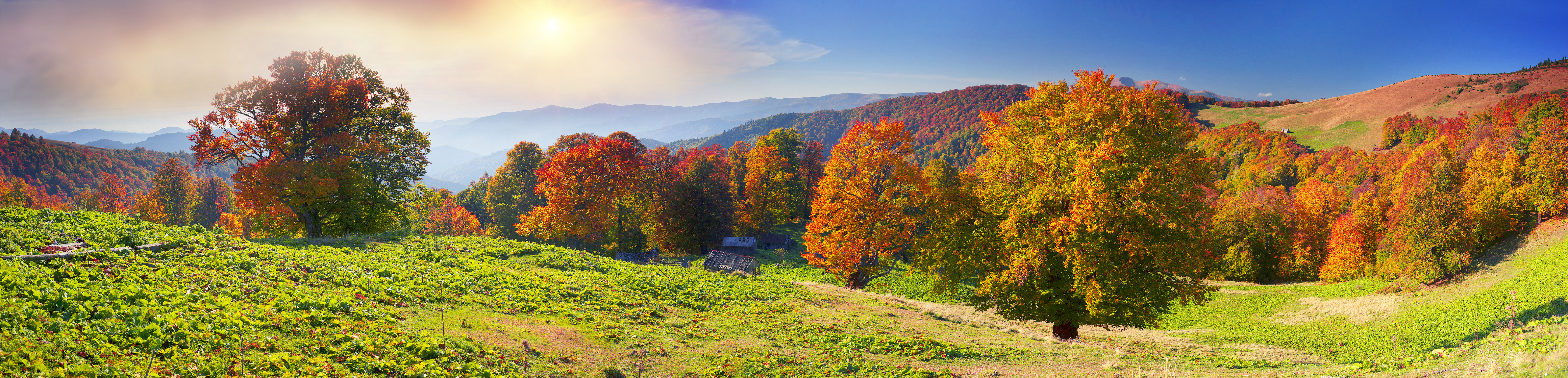 Low Inventory Continues… Advice for Home Sellers in Charlottesville for Fall 2016