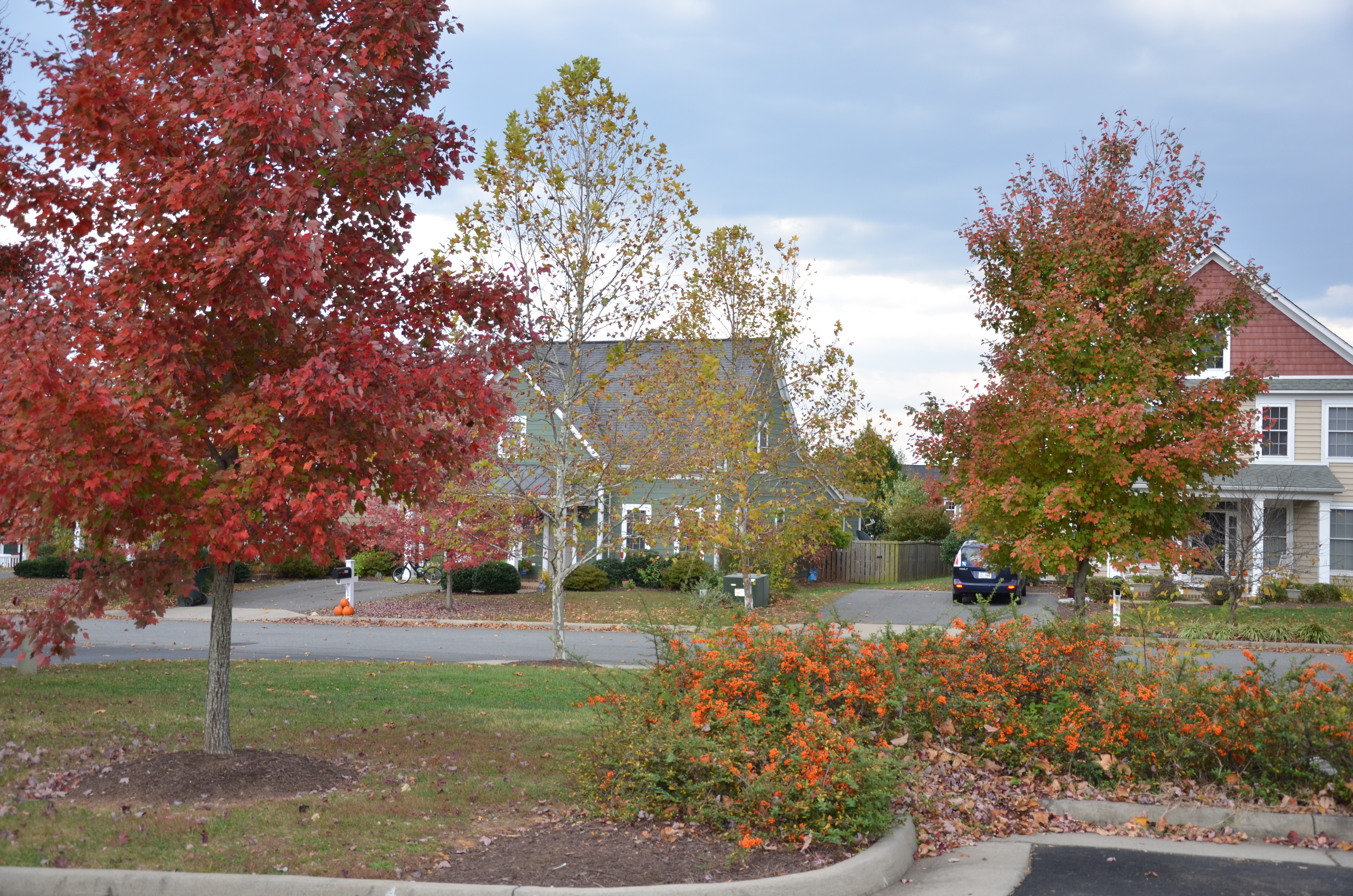 Looking to buy a home in Westhall or Westlake at Foothill Crossing in Crozet, VA?