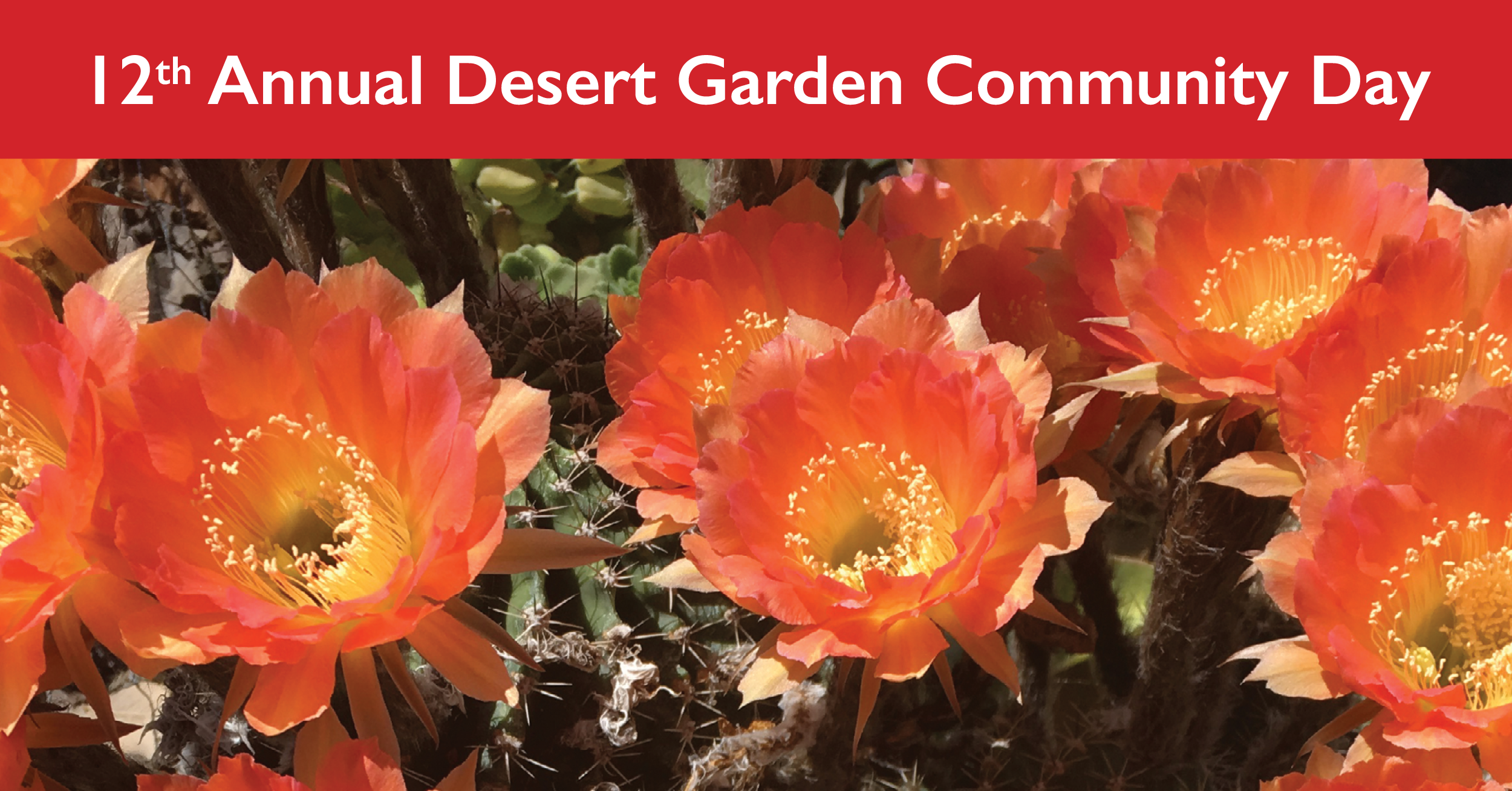 12th Annual Desert Garden Community Day Schedule