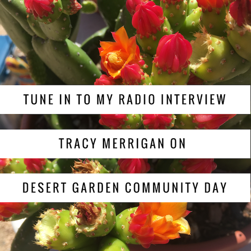 Palm Springs Community Round Up Radio Show