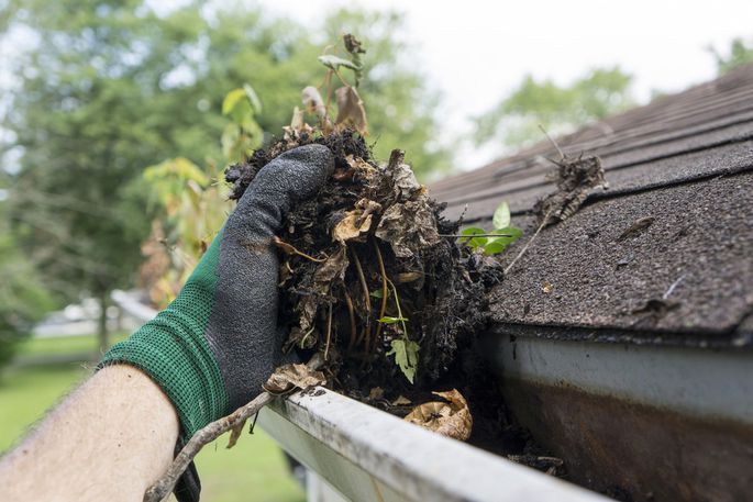 New To Home Ownership? Here Are Some September Maintenance Tasks