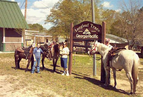 longleaf trace horse trail