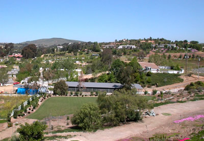Olivenhain