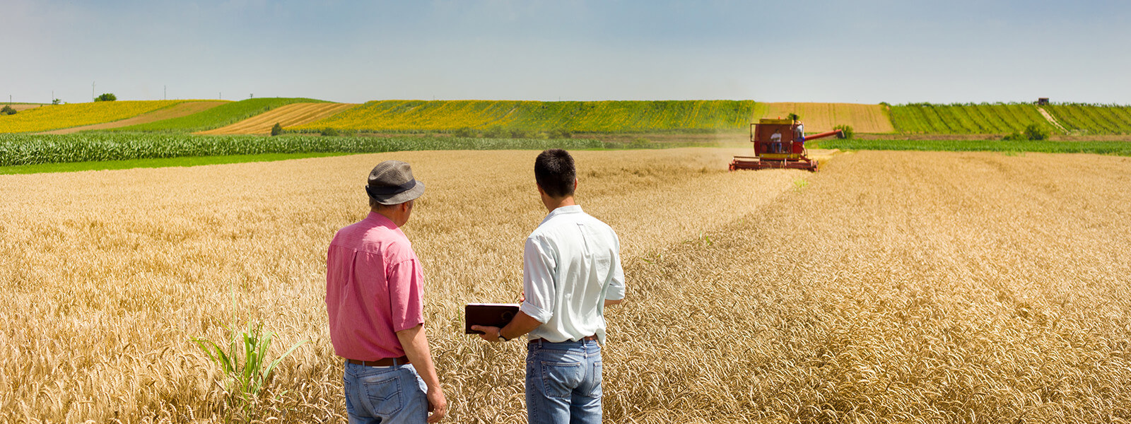 Questions to Ask Before Buying a Farm or Ranch