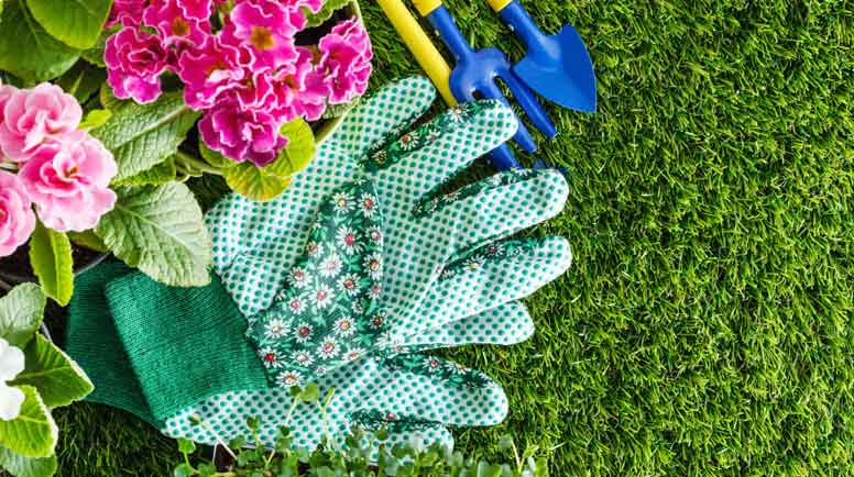 A Seasonal Guide: Spring Landscaping