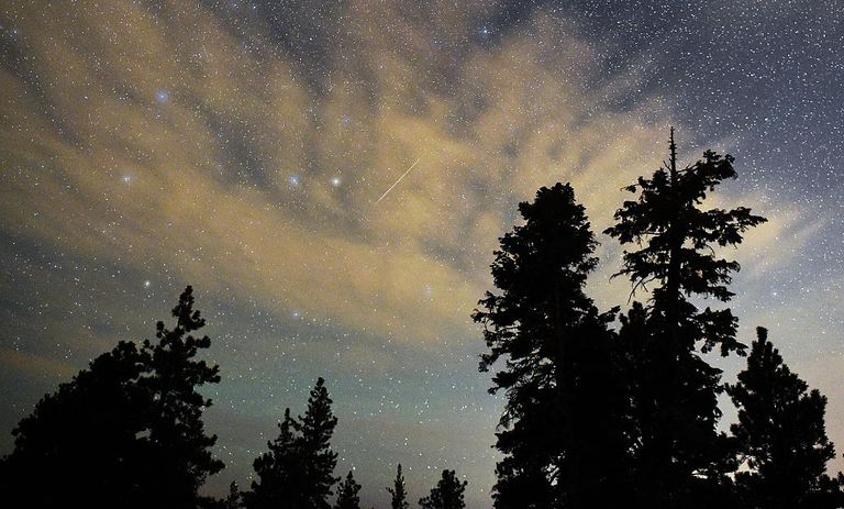 Meteor Shower in Your Backyard