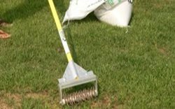 Fall Lawn Maintenance