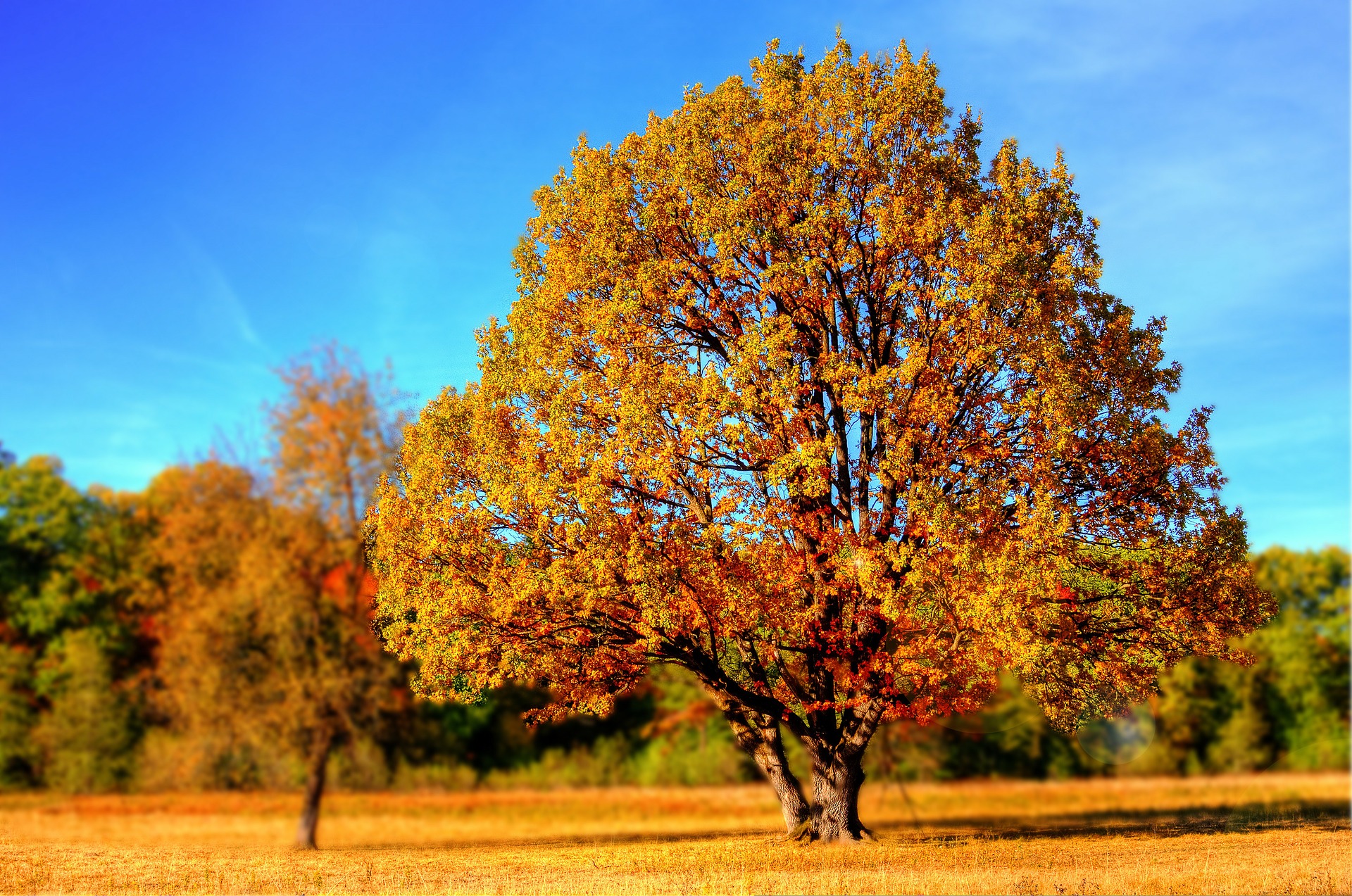 Prep Your Home for Fall