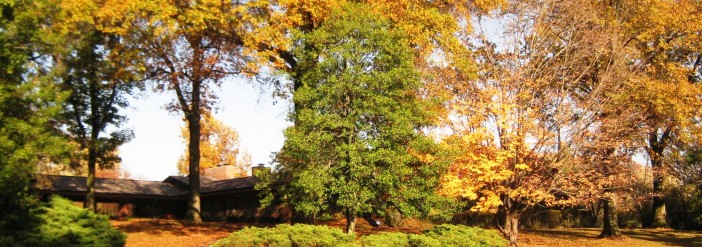 15 Upper Barnes, Ladue MO 63124
