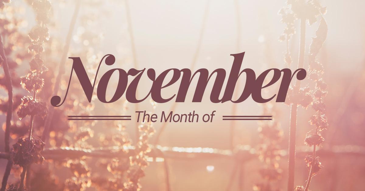 November Market Activity Report