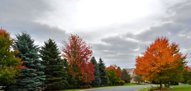 Prepare for Fall & Winter With These Home Maintenance Tips