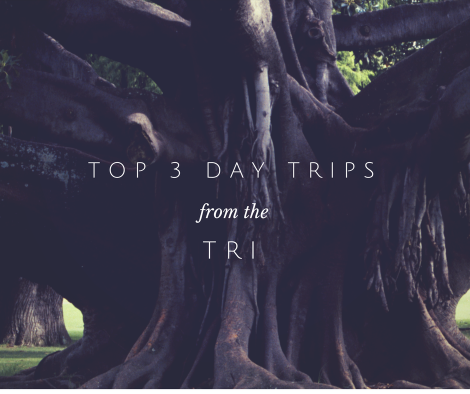 Top 3 Day Trips from the TRI