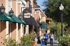 Schools In Los Gatos