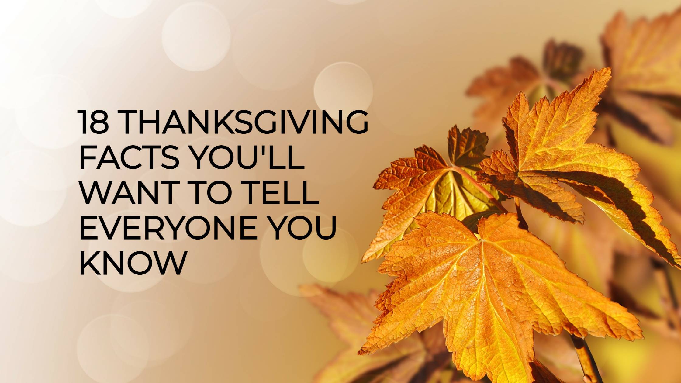 18 Thanksgiving Facts You'll Want to Tell Everyone You Know