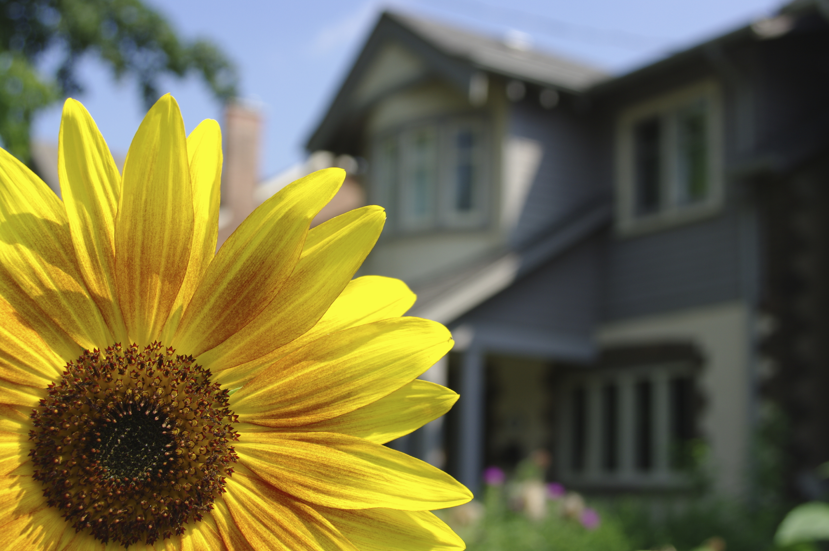 Key Tips For Selling Your Home Fast in Spring 2017