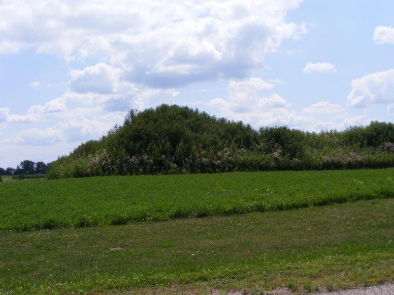 Building your dream home in Bloomfield WI