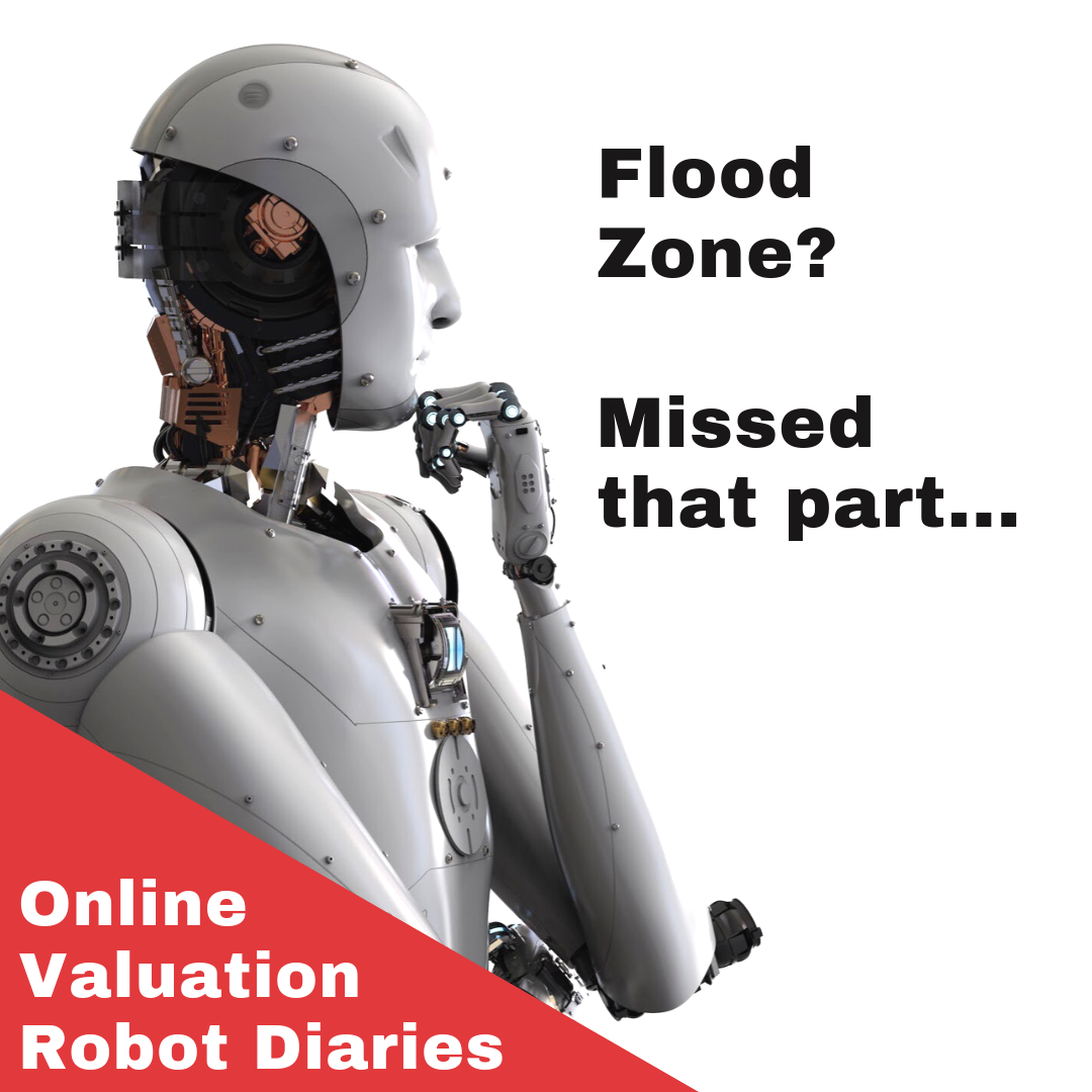 Pitfalls of Automated Valuation Models
