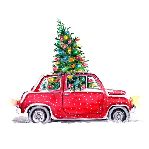 Where To Cut Your Own Christmas Trees Around The Ozarks!