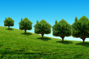 West Arvada News | Denver Real Estate Health