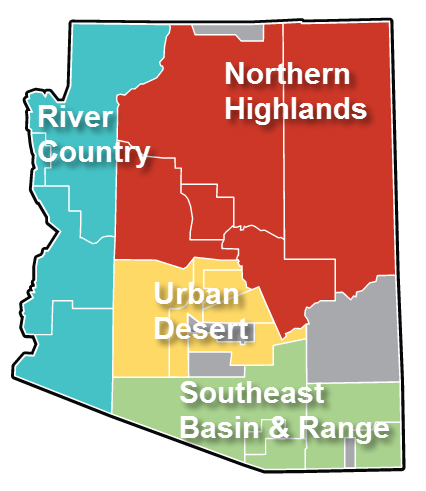 Arizona Residential Real Estate Market Report – August 2016
