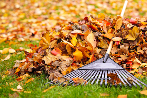 6 Ways to Prep Your Yard for Winter 