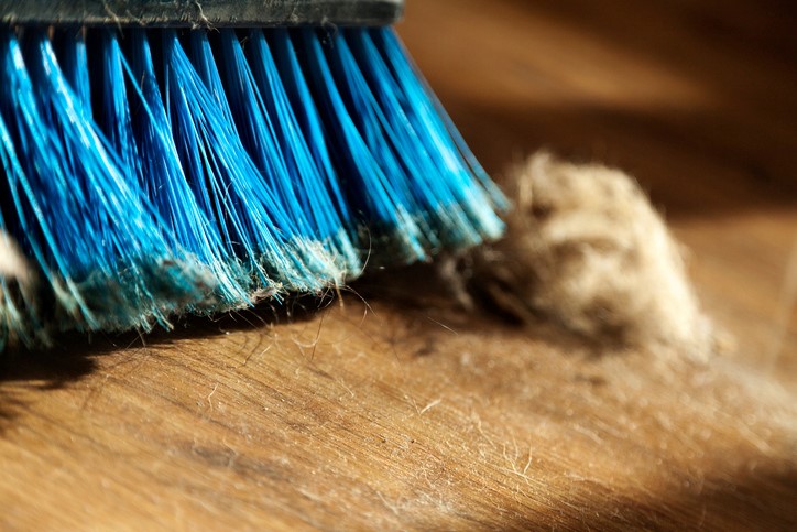 Do You Have a Healthy Home?  7 Steps for a Healthier Home