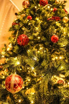 Make Christmas Tree Safety Part of Your Holiday Tradition