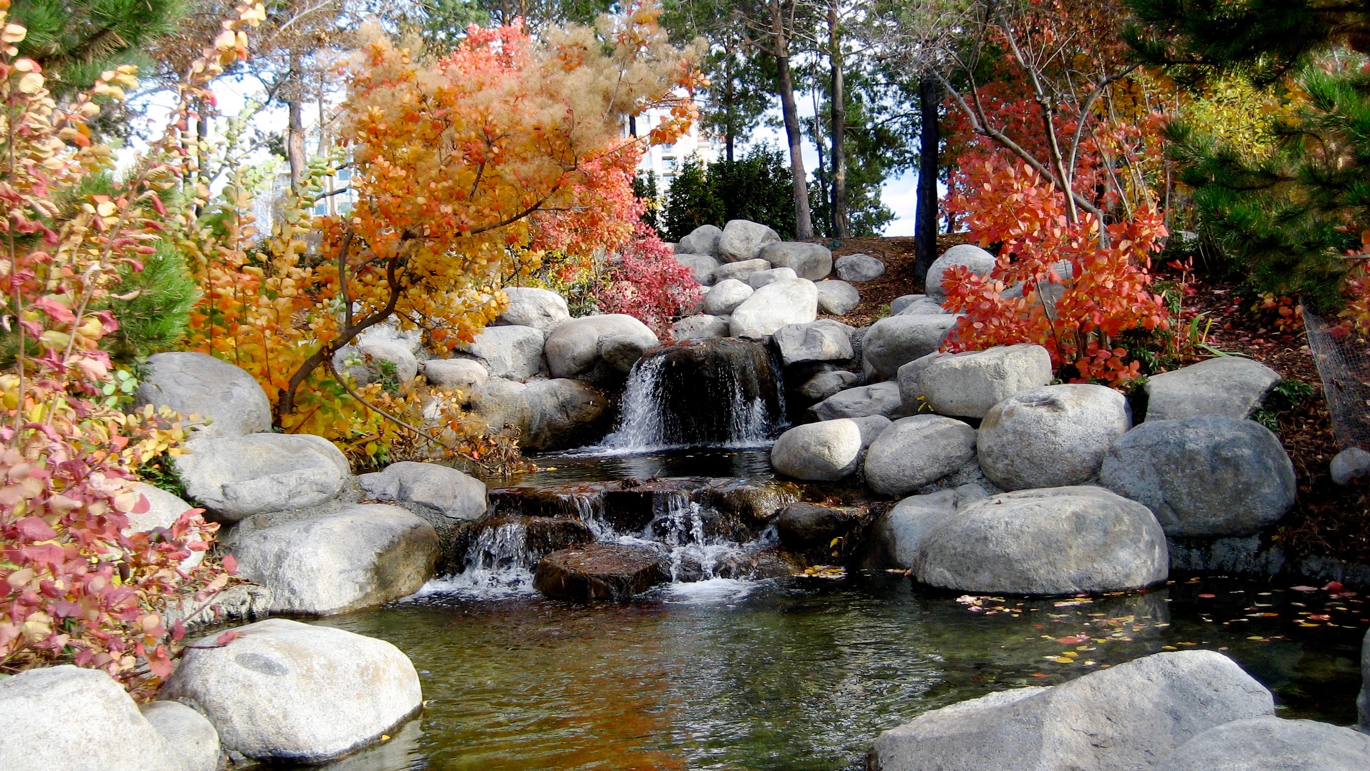 Fall is a great time to spruce up your landscape