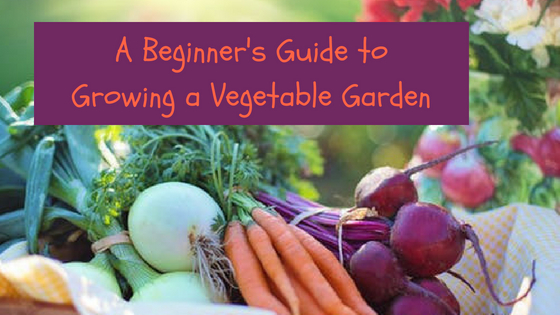 A Beginner's Guide to Growing a Vegetable Garden