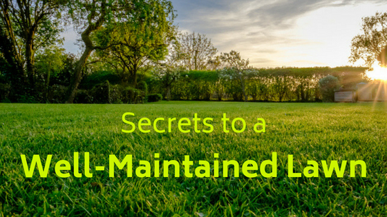Secrets to a Well-Maintained Lawn