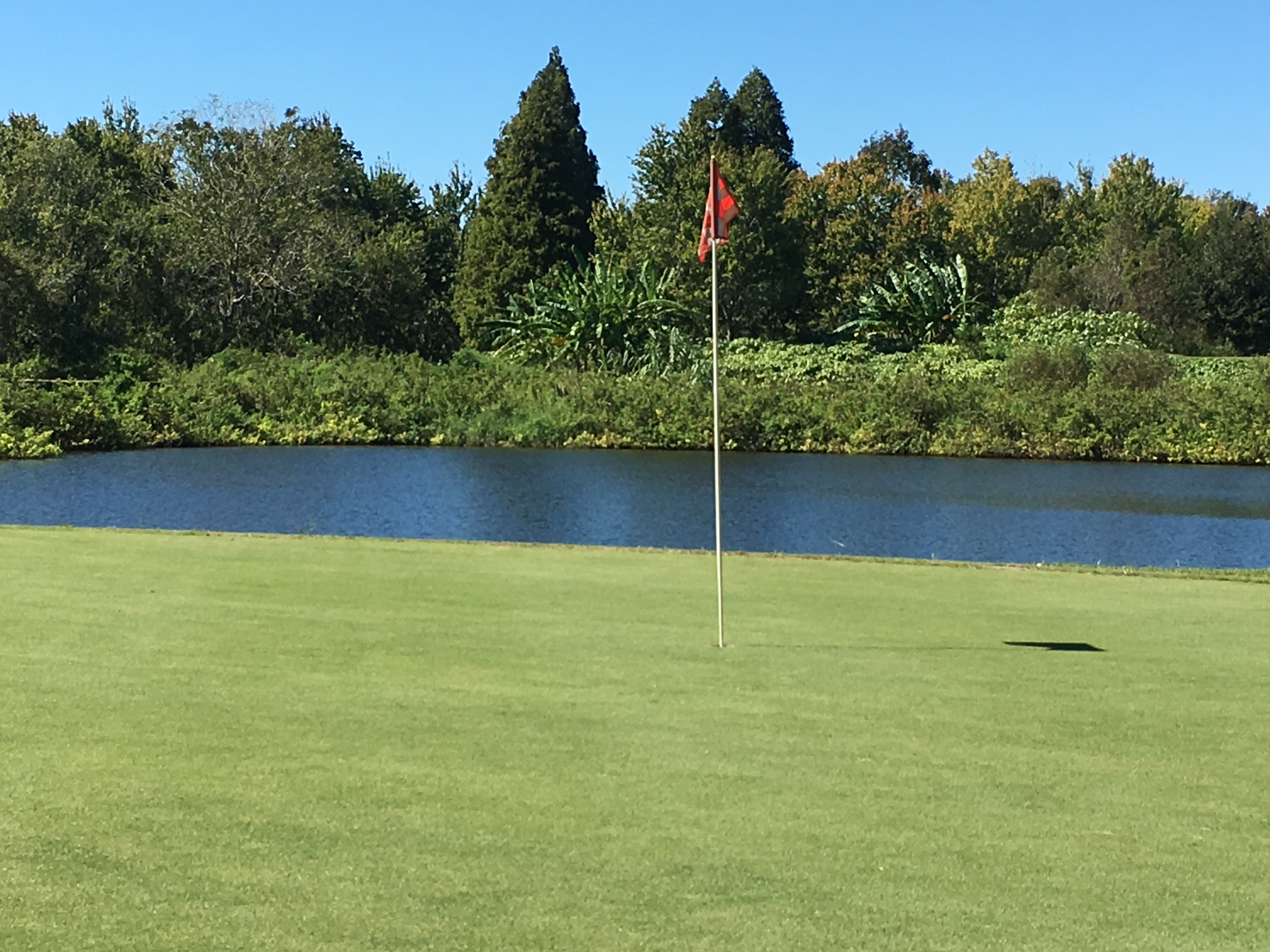 Lakeland Fl Realestate The Cardiff Company