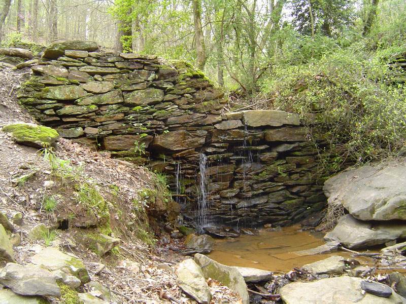 Live the Life in East Cobb, GA
