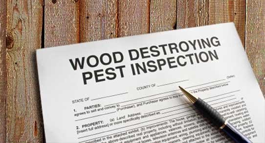 Wood Destroying Pest Inspection