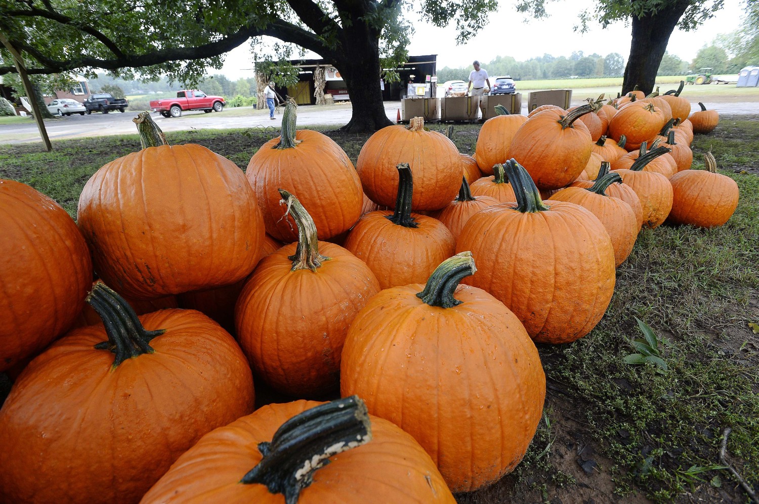 20 Things to Do in Charlotte for Halloween
