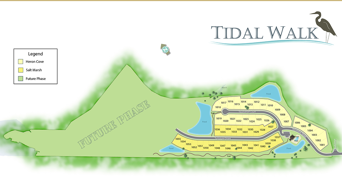 Tidal Walk by DR Horton